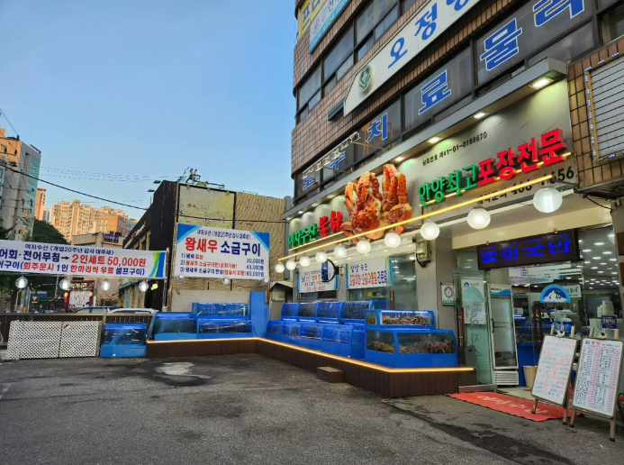 안양식물회,여자수산 안양본점,생방송투데이 물회,안양 맛집 추천,여름 물회 맛집,안양 회식 장소