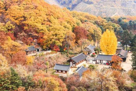 남양주 묘적사 : 자연과 불교문화가 함께 숨쉬는 도량 비밀스러운 승군 훈련지와 천년의 고요가 머무는 힐링 사찰