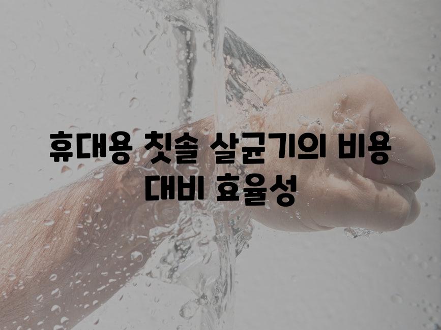 휴대용 칫솔 살균기의 비용 대비 효율성