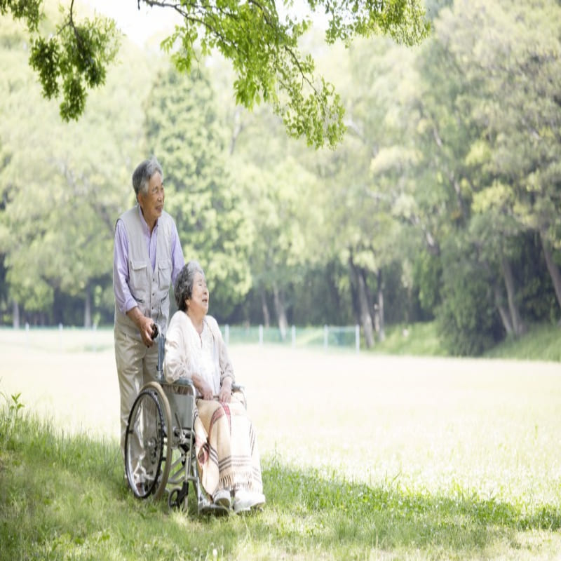 고령장애인연금금액인상수당증가확대