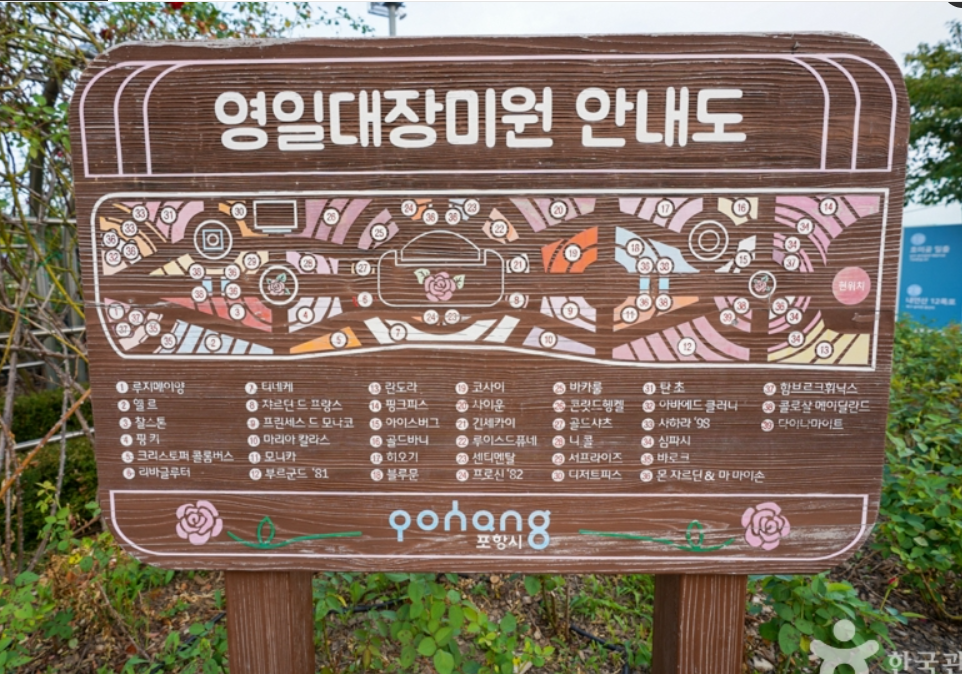 포항 영일대 장미원