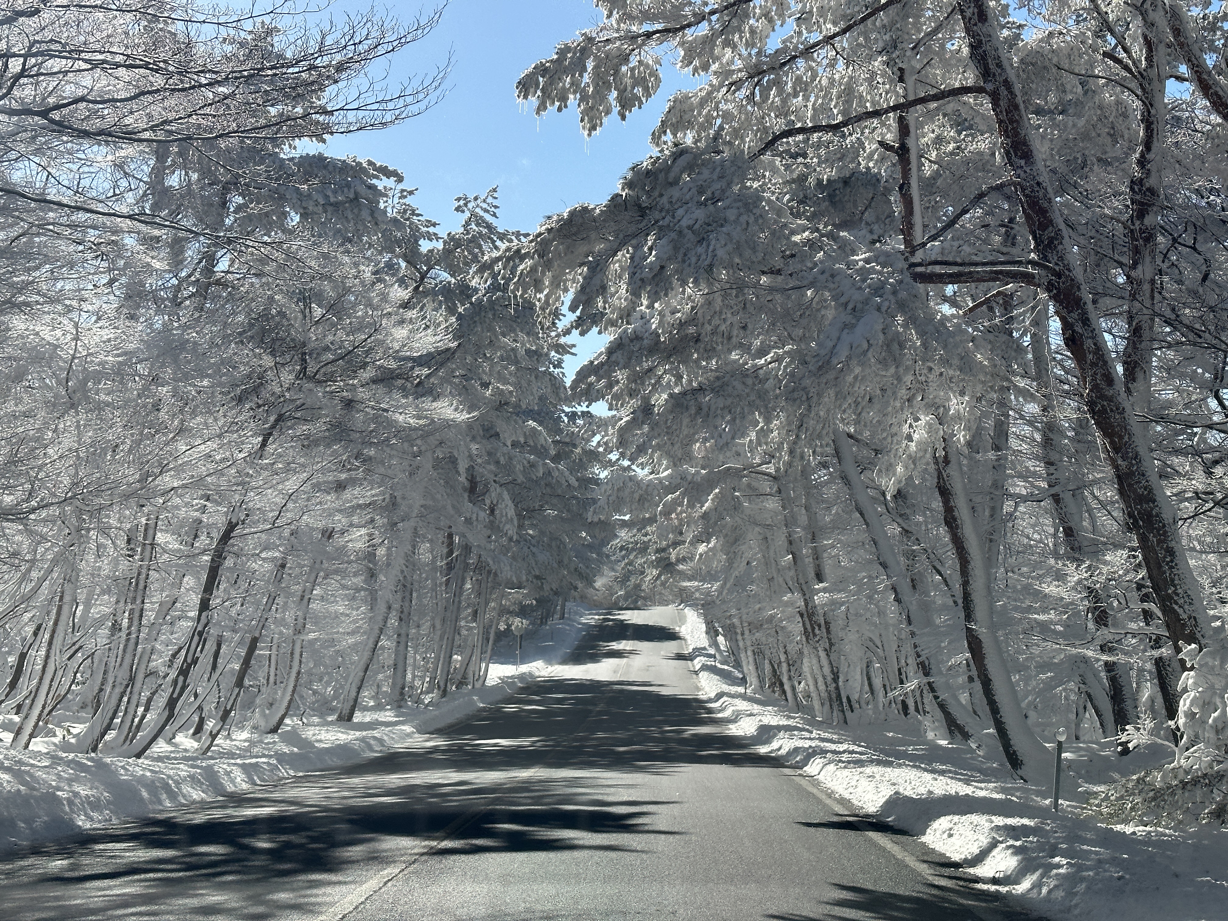 제주 눈썰매 스팟 주차 위치 파는곳