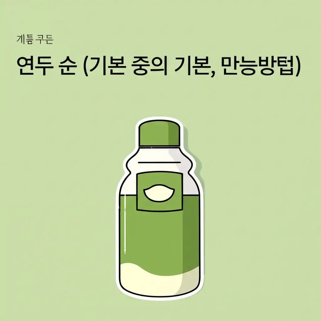 연두이용방법_yondu-soon