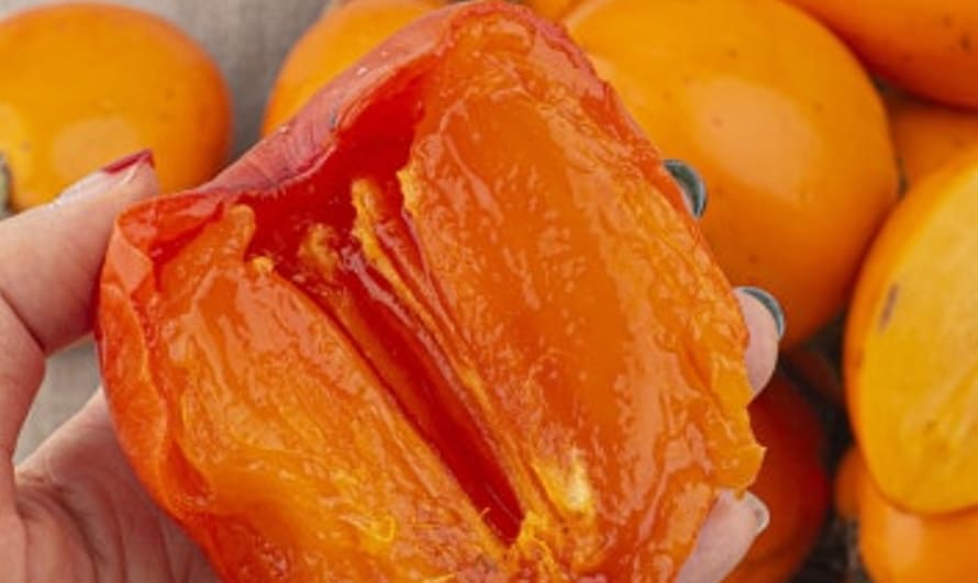 맛있게 익어 있는 홍시