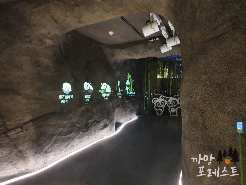 판다월드 코스