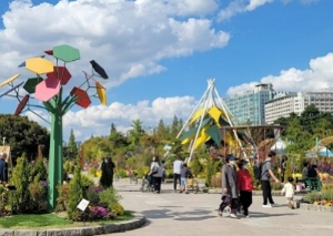 코스모스축제 고양가을꽃축제 예매&amp;#44; 주차장