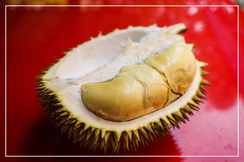 두리안 칼로리1