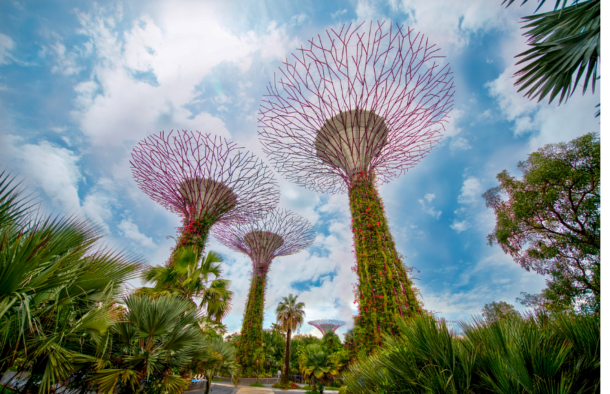 싱가포르 가든스 바이 더 베이 전경 사진