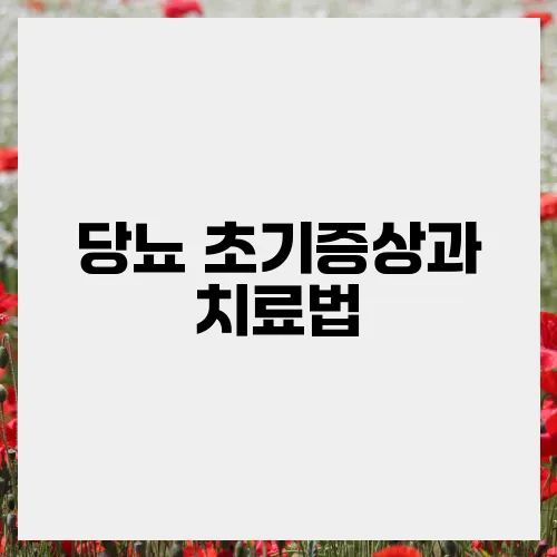 당뇨 초기증상과 치료법, 바로잡기