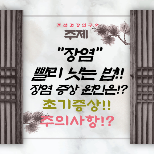 장염 증상 장염 빨리 낫는 법 원인 초기 증상