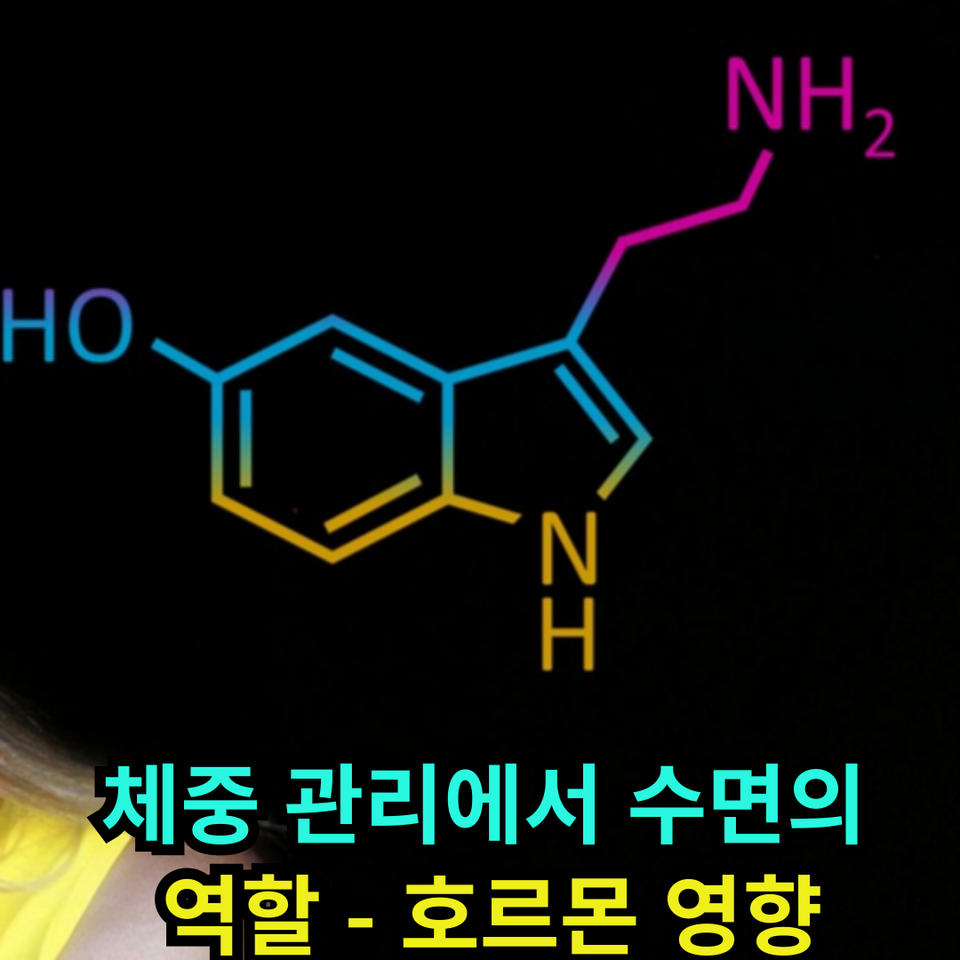 체중 관리에서 수면의 역할 - 호르몬 영향
