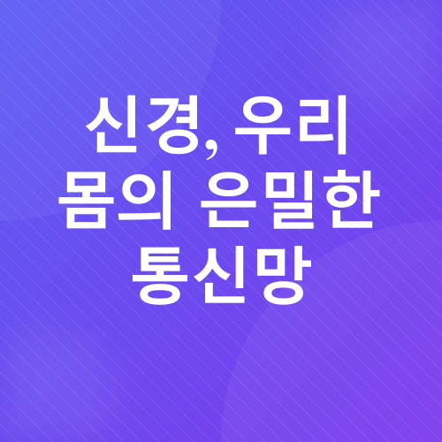 만성통증 완화 운동_2