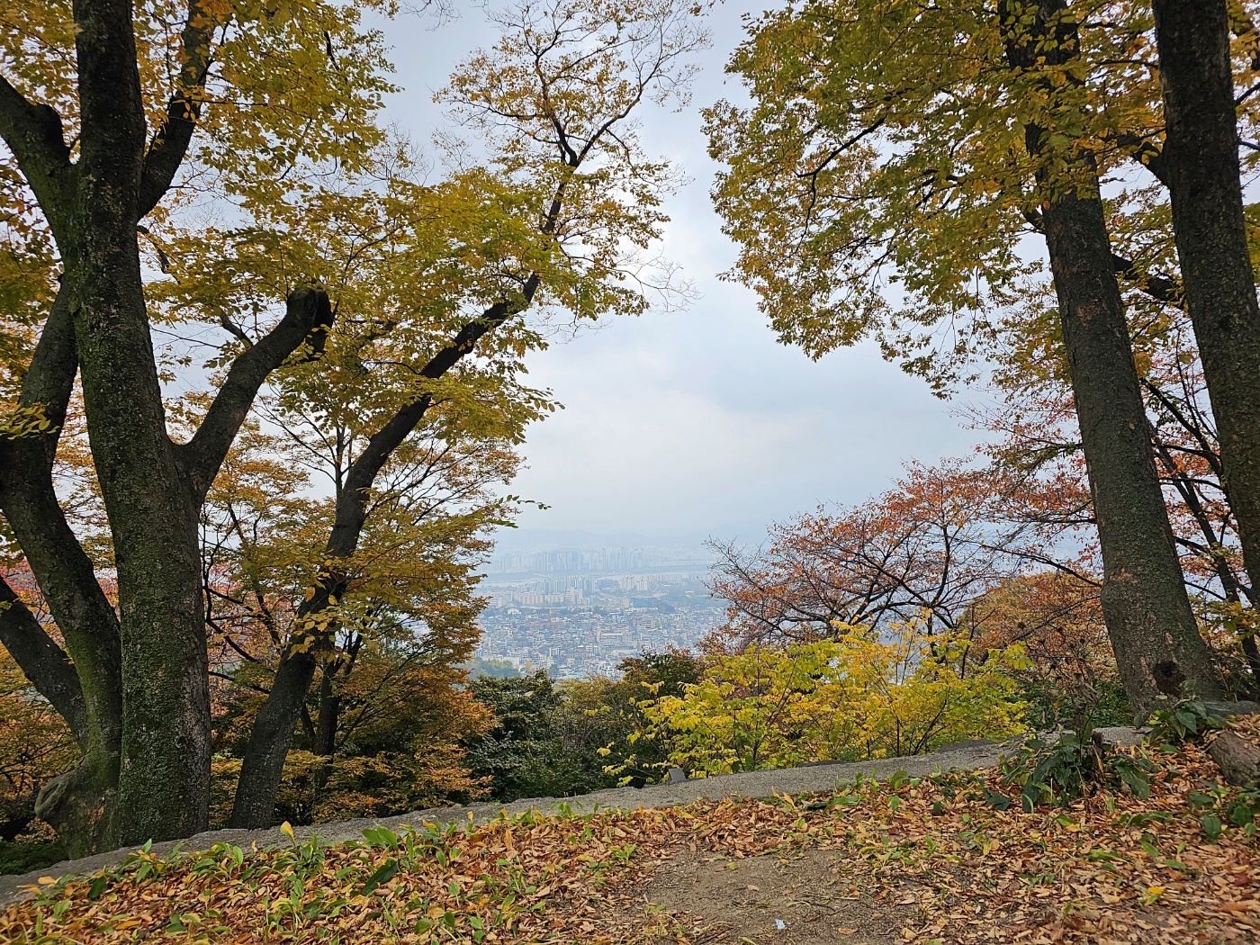 서울 남산 타워
