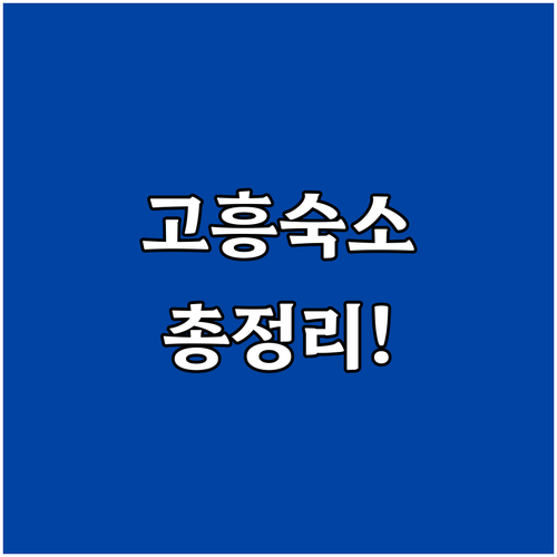 고흥 숙소 위치별 장점 및 실제 후기..