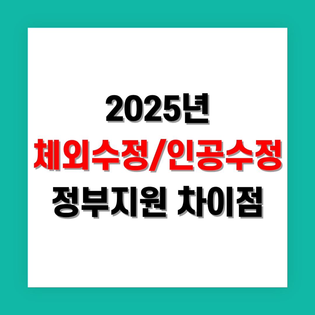 체외수정 vs 인공수정 정부지원 차이점 정리