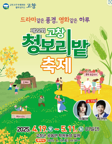 고창 청보리밭 실시간 개화 상황