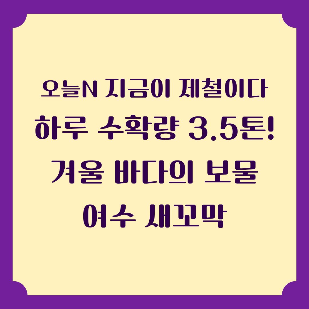 오늘N [지금이 제철이다] 여주 새꼬막 집밥 맛집 정보