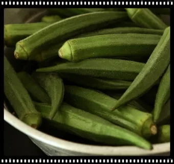 오크라 효능 재배법 손질 수확 요리 보관까지 한눈에 보기_18