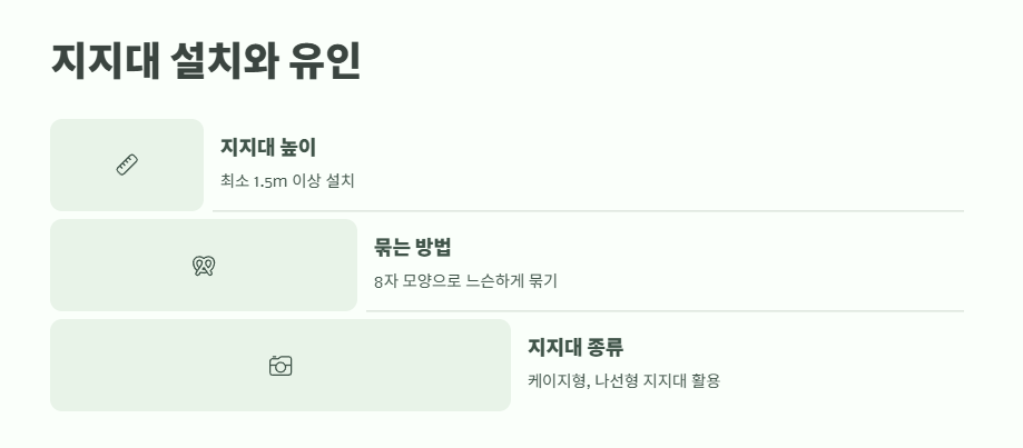 방울토마토 키우기 완벽 정리 9