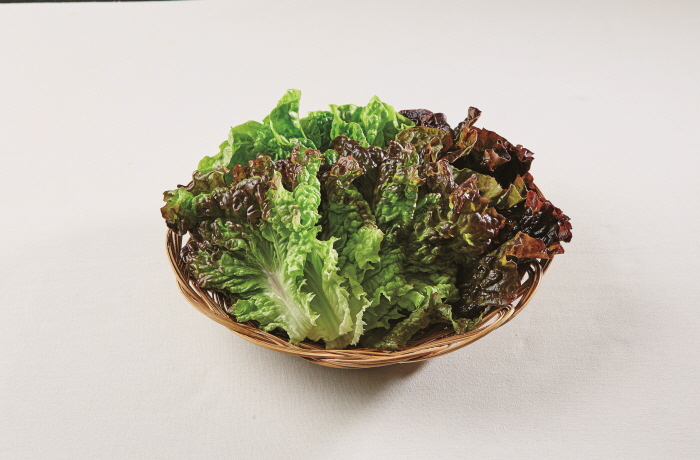 루테인 지아잔틴 많은 음식-상추