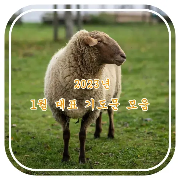 2023년 1월 대표 기도문 모음 대표 이미지