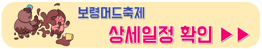 보령머드축제 기본정보