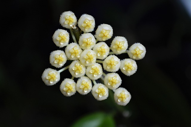 비염에 좋은 생활 루틴 핵심 가이드