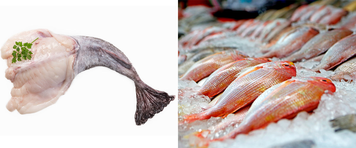 2월 제철 음식과 효능, 요리