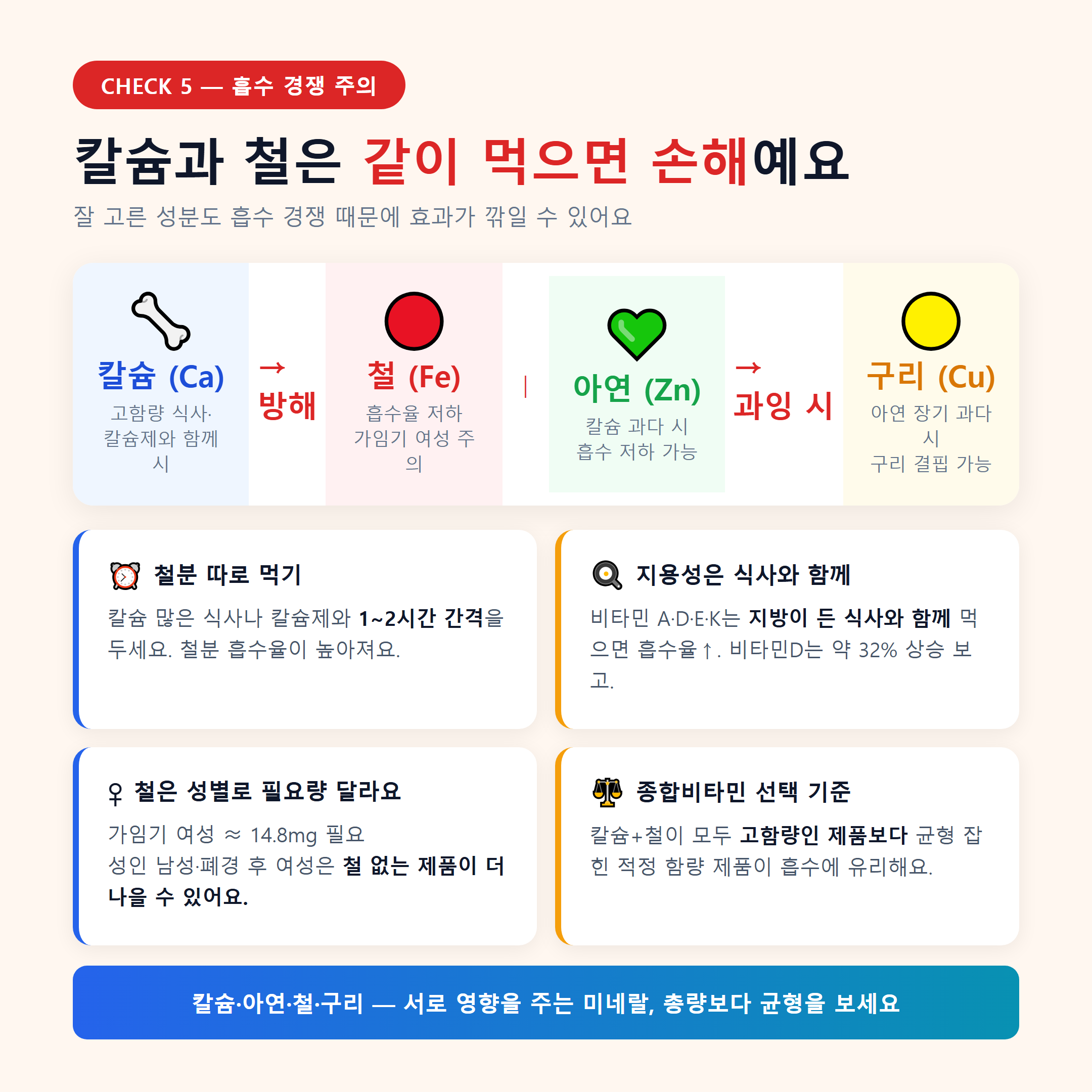 칼슘과 철 흡수 경쟁 다이어그램 &mdash; 종합비타민 미네랄 시간차 복용 안내