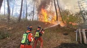 의성산불 실시간 CCTV로 안전 대피 준비