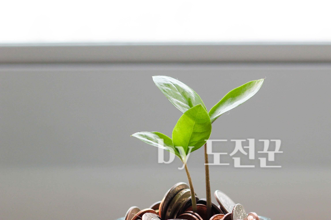 인도 주식 투자