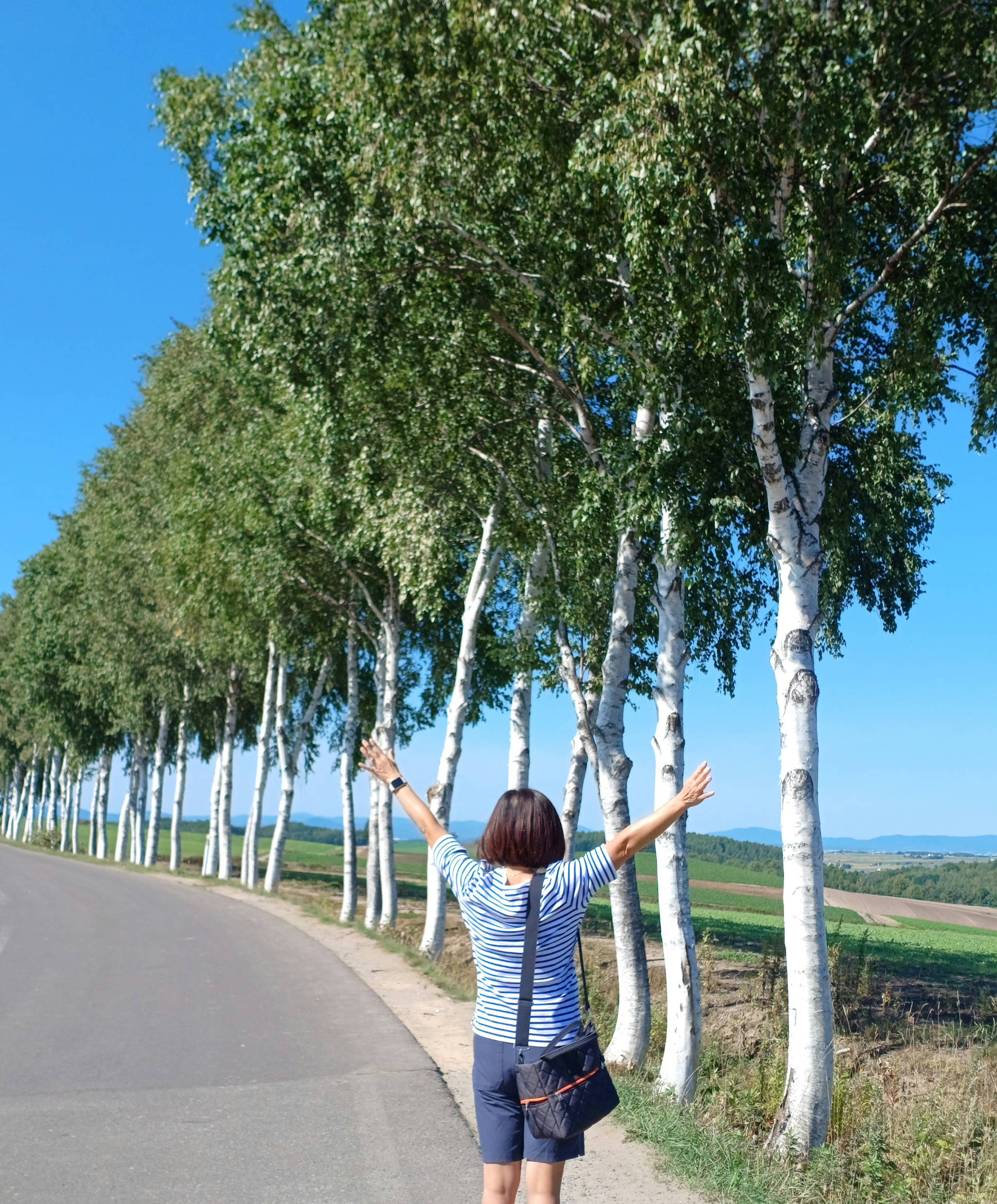 삿포로-비에이-투어-청의호수-패치워크로드