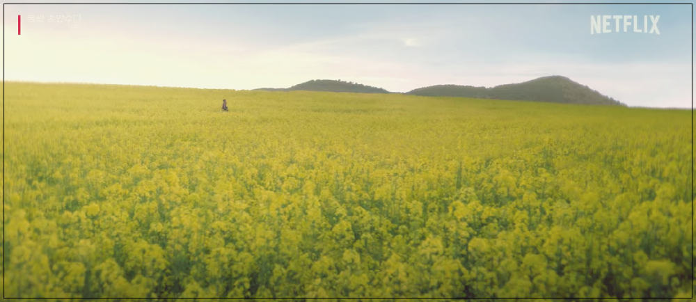 넷플릭스 드라마 폭싹 속았수다 촬영지