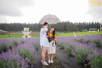 6월 제주도 아이와 함께 가볼만한곳 10곳 완벽 추천 리스트_20