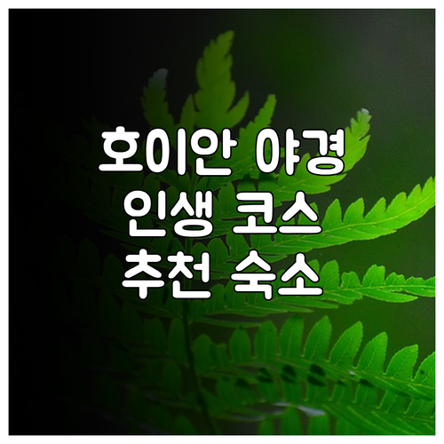 밤이 더 예쁜 호이안 투본강 야경 산..