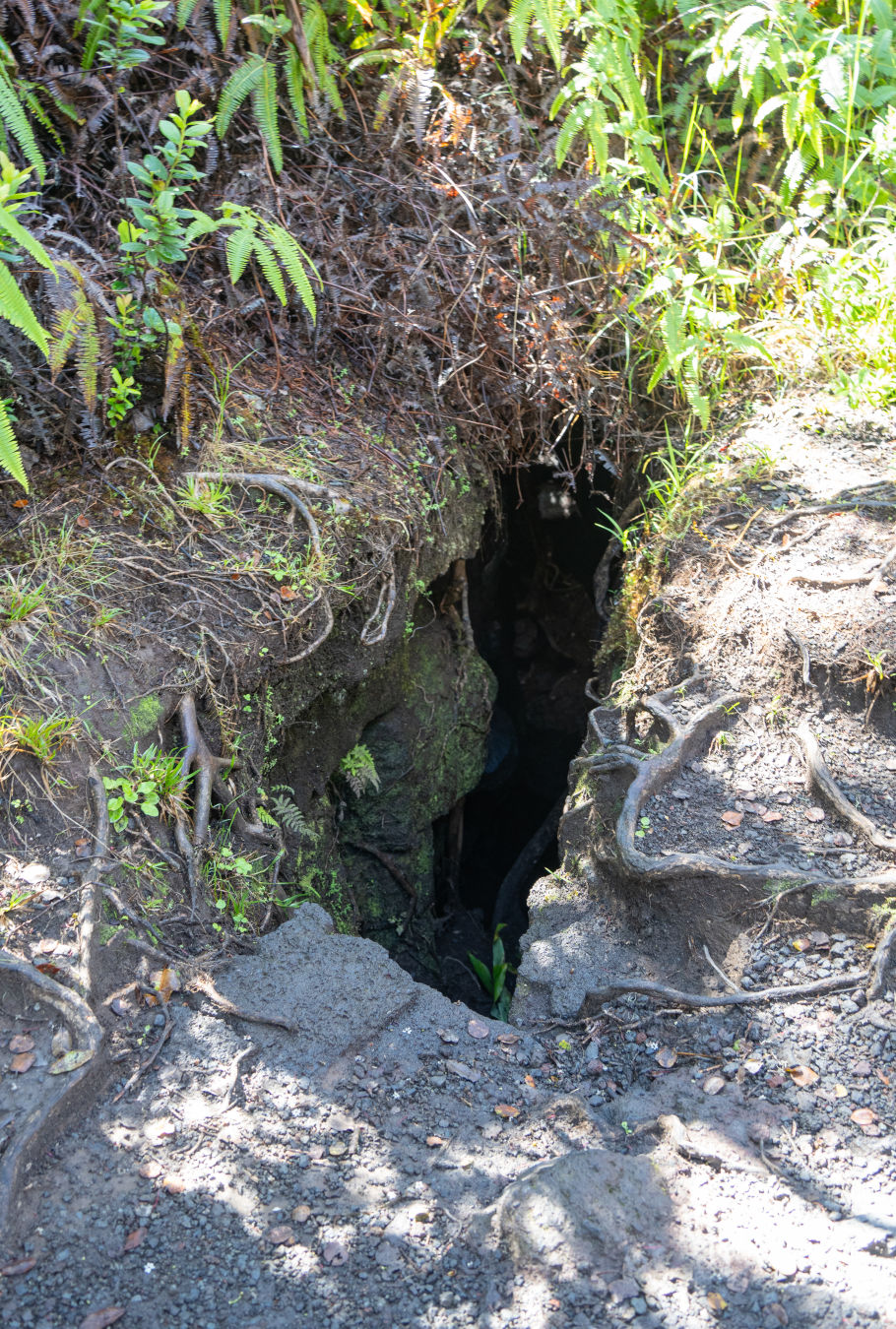 칼라우에아 이키 전망대 숨구멍