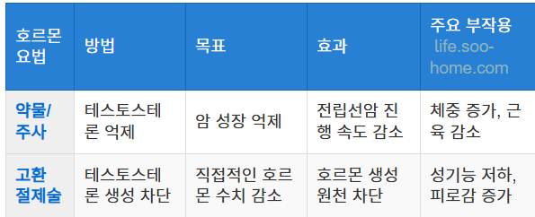 호르몬 요법의 역할과 효과