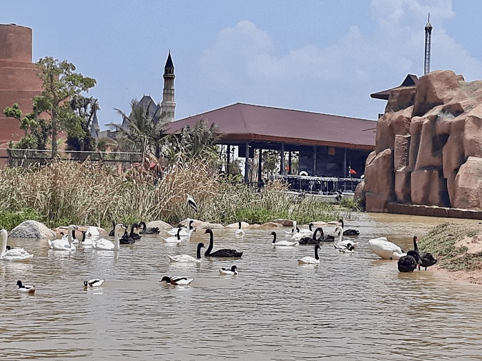 다낭패키지여행