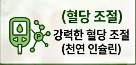여주 효능