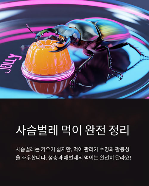 사슴벌레 먹이, 건강하고 오래 키우는 비결