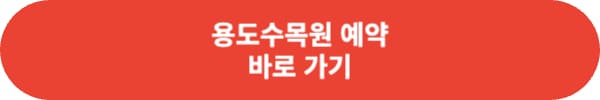 어린이 날 가볼만한 곳 추천 best 5