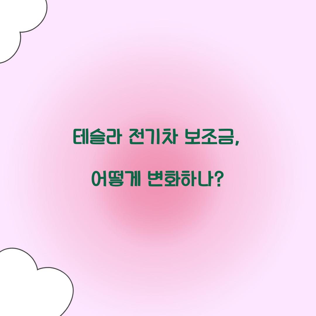 테슬라 전기차보조금