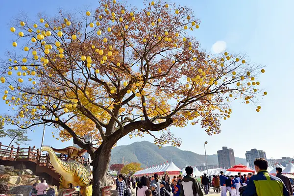 경북 청송 청송사과축제, 산소카페, 사과, 식당, 청송백자 가볼만한 곳 추천