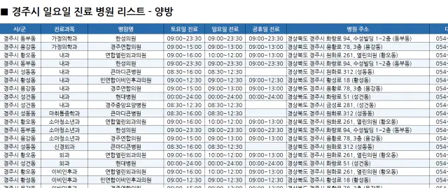 일요일-진료병원-리스트-예시