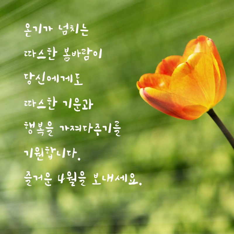 4월 인사말 문구 이미지 모음집