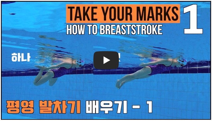 수영 유튜버 순위 TOP 10 10