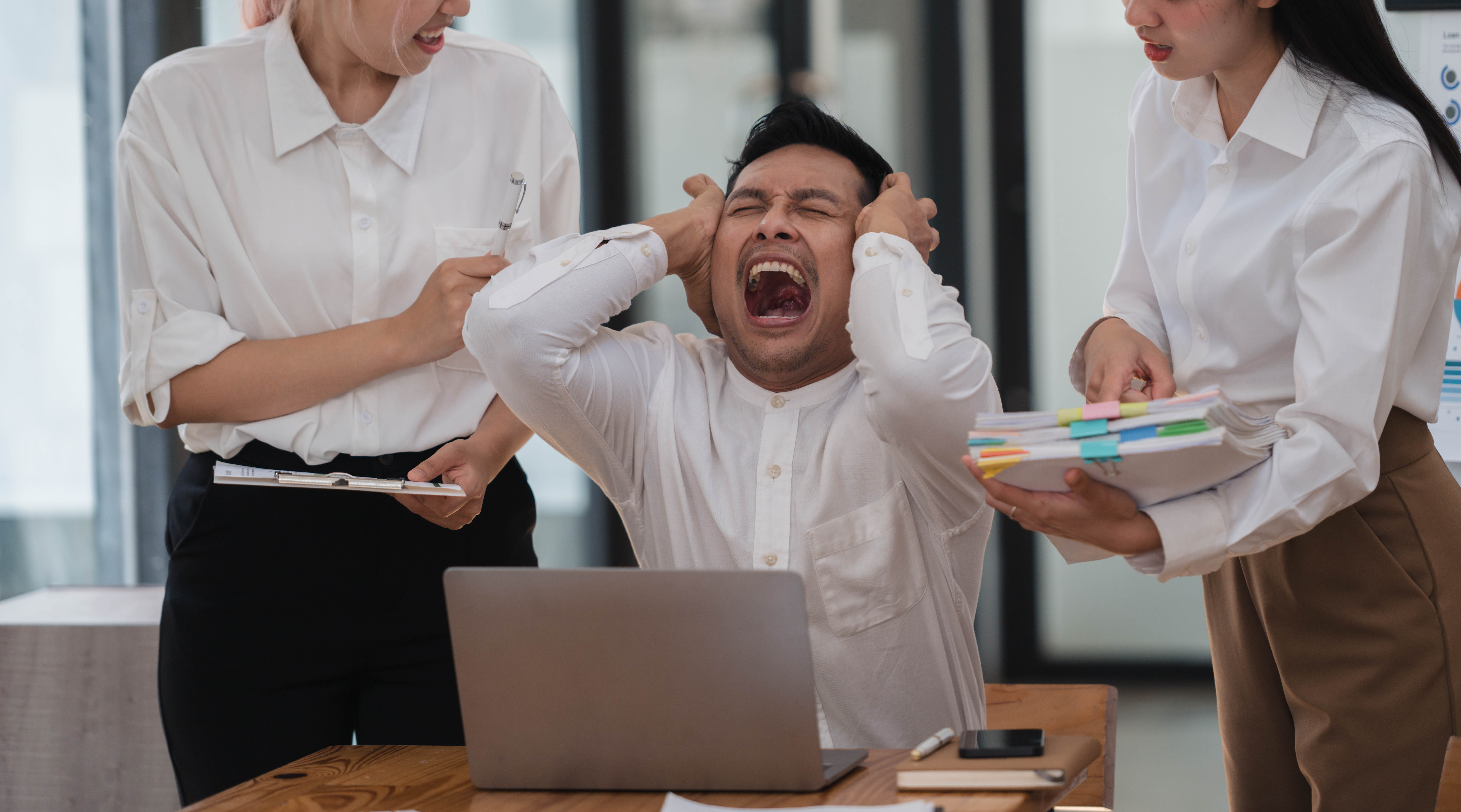 수습기간 해고
