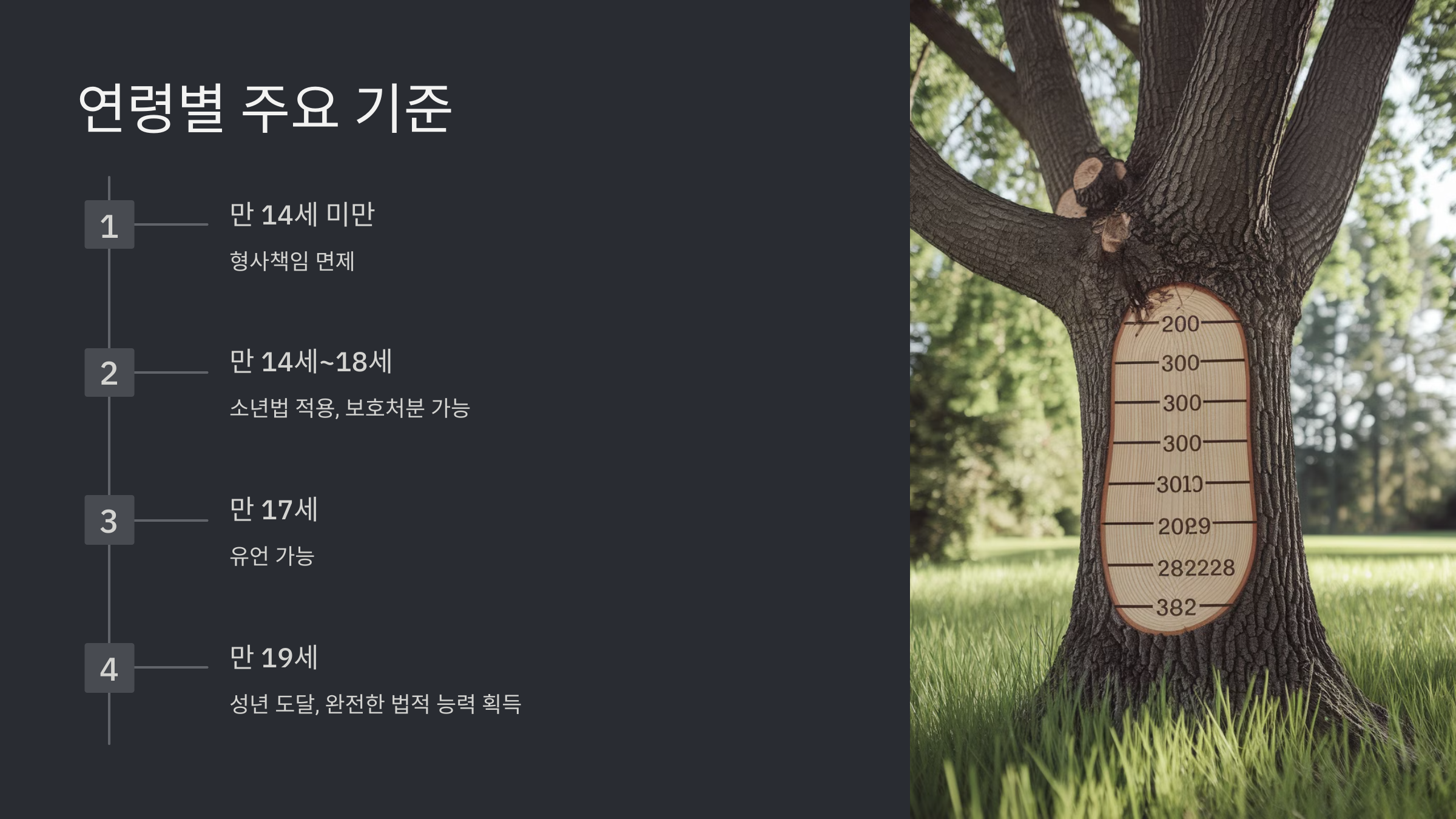 2025년 미성년자 나이