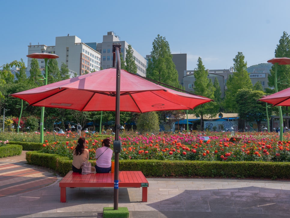 부산 정관 윗골공원