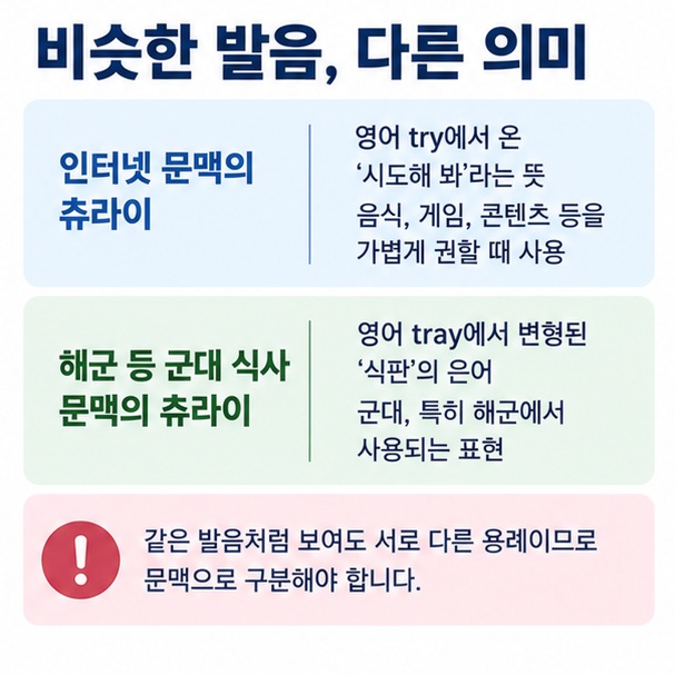 인터넷의 try 츄라이와 해군에서 tray 식판을 뜻하는 츄라이를 비교한 이미지